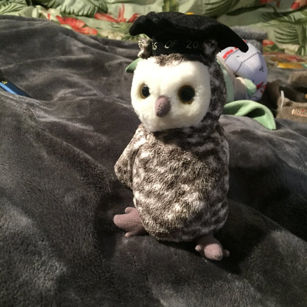 Graduating Owl Plush - Picture 9 of 14